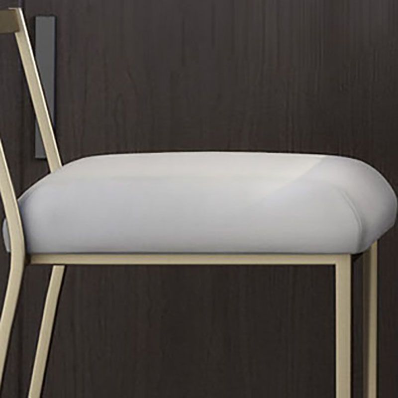 Glam Metal Dining Room Chair Armless Velvet Dining Side Chair for Restaurant Use Clearhalo 'Dining Chairs' 'Dining Tables & Seating' 'dining_chair' 'furn' 'furn_dining_chair' 'Furniture' 'Kitchen & Dining Furniture' 1200x1200_c88219ba-de13-48c5-906f-81e220fce368