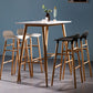 Scandinavian Solid Wood Legs Bar Stool Armless Plastic Bar Stool for Living Room Clearhalo 'Bar Furniture' 'Bar Stools' 'bar_stools' 'furn' 'furn_bar_stools' 'Furniture' 'Kitchen & Dining Furniture' 1200x1200_c8e734ff-b20e-442f-9a2c-ed72e5f382c6