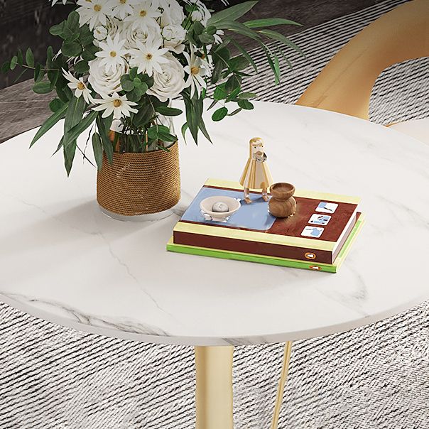 Round Tulip Base Glam Dining Table White Fixed Table of Sintered Stone Clearhalo ' dining_table' 'Dining Tables & Seating' 'Dining Tables' 'furn' 'furn_dining_table' 'Furniture' 'furniture_dining_table' 'Kitchen & Dining Furniture' 'kitchen&dining_furn' 'kitchen' 'kitchen_dining_table' 1200x1200_c8f40c2f-cbc3-45f4-b4e6-524f67ac90b7