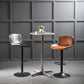 Modern Backrest Rotatable Counter Stool Iron Bar Stool with Cushion and Pedal