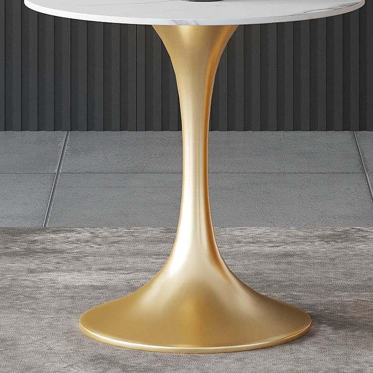 Traditional Luxury Round Dining Site Table Stone Dining Room Home Furniture Clearhalo ' dining_table' 'Dining Tables & Seating' 'Dining Tables' 'furn' 'furn_dining_table' 'Furniture' 'furniture_dining_table' 'Kitchen & Dining Furniture' 'kitchen&dining_furn' 'kitchen' 'kitchen_dining_table' 1200x1200_c9bf13cd-840c-4531-9eb2-6ba0144020e7