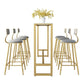 Glam Style Rectangle Bar Table Faux Marble Bar Dining Table for Living Room Clearhalo 'Bar Furniture' 'Bar Tables' 'bar_tables' 'furn' 'furn_bar_tables' 'Furniture' 'Kitchen & Dining Furniture' 1200x1200_ca634f3c-34cd-4c85-9787-1b23d2f1473a