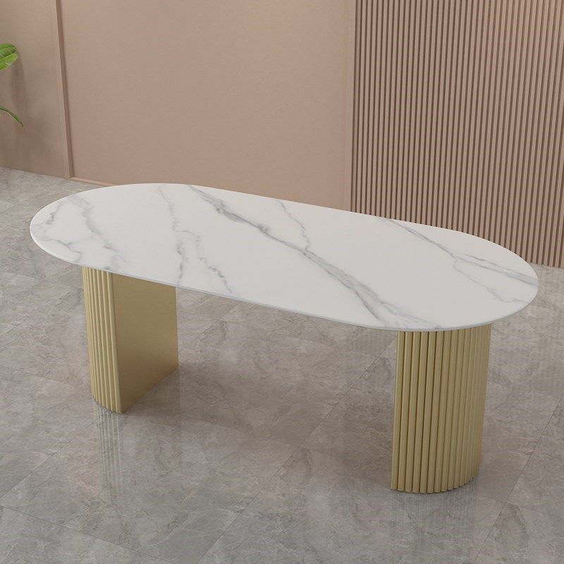Oval Double Pedestal Modern Dining Table Fixed Table for Dining Room Clearhalo 'Dining Tables & Seating' 'Dining Tables' 'dining_table' 'furn' 'furn_dining_table' 'Furniture' 'furniture_dining_table' 'Kitchen & Dining Furniture' 'kitchen' 'kitchen_dining_table' 1200x1200_ca98a356-4a5c-47f8-8a3d-8b3049f8b4c9