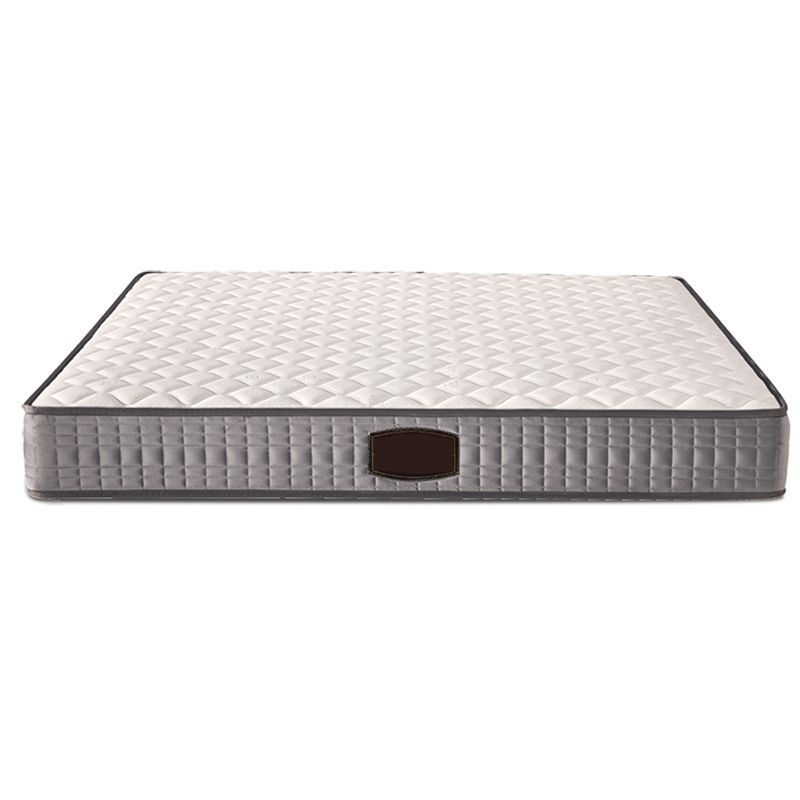 Modern Bed Frame Mattress Included Standard Bed with Custom Gold Legs Clearhalo 'Bedroom Furniture' 'Beds' 'furn' 'furn_beds' 'Furniture' 1200x1200_cb241694-9865-4e11-a98e-c78fbe0575bf