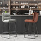Modern Backrest Armless Counter Stool Steel Cafe Bar Stool with Leather Cushion Clearhalo 'Bar Furniture' 'Bar Stools' 'bar_stools' 'furn' 'furn_bar_stools' 'furniture_bar_stools' 'Kitchen & Dining Furniture' 'kitchen&dining_furn' 'kitchen' 'kitchen_furn' Furniture' 1200x1200_cba220df-fd78-43d0-ba0b-b33fdbb34b66