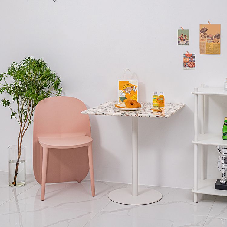 Nordic Style Plastic Dining Chair Dining Armless Side Chairs for Kitchen (Set of 2) Clearhalo ' kitchen&dining_furn' 'Dining Chairs' 'Dining Tables & Seating' 'dining_chair' 'furn' 'furn_dining_chair' 'Furniture' 'furniture_dining_chair' 'Kitchen & Dining Furniture' 'kitchen' 1200x1200_cba23a57-d1fa-4470-9e42-111b18c4ae9d