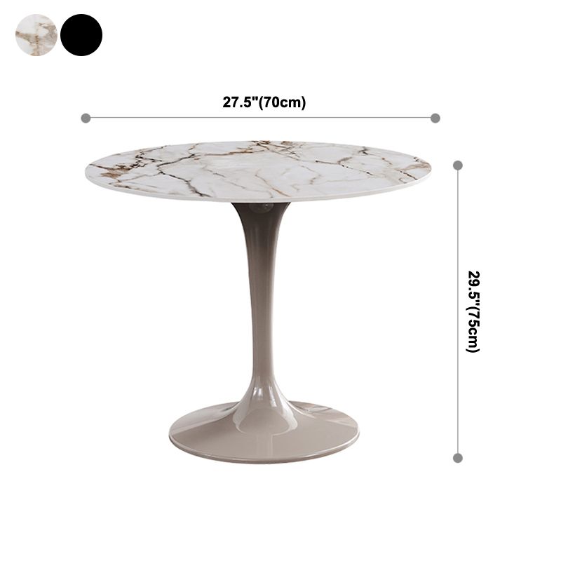 Round Shape Tulip Base Table Luxury White Tone Fixed Table with Sintered Stone Clearhalo ' dining_table' 'Dining Tables & Seating' 'Dining Tables' 'furn' 'furn_dining_table' 'Furniture' 'furniture_dining_table' 'Kitchen & Dining Furniture' 'kitchen&dining_furn' 'kitchen' 'kitchen_dining_table' 1200x1200_cbc689a0-cb97-4c14-9e77-21c0ef4585f3