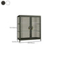 Modern Glass Doors Curio Cabinet Metal Storage Cabinet for Living Room Clearhalo 'Display & China Cabinets' 'display_china_cabinets' 'furn' 'furn_display_china_cabinets' 'Furniture' 'Kitchen & Dining Furniture' 1200x1200_cbfe221a-2b77-4222-b5e1-25ef322319b9