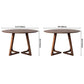 Round Pine Solid Wood Table Modern Dining Table with Double Pedestal for Restaurant Clearhalo ' dining_table' 'Dining Tables & Seating' 'Dining Tables' 'furn' 'furn_dining_table' 'Furniture' 'furniture_dining_table' 'Kitchen & Dining Furniture' 'kitchen&dining_furn' 'kitchen' 'kitchen_dining_table' 1200x1200_cc0e674c-6a40-4c85-88b8-65bab59efdfa
