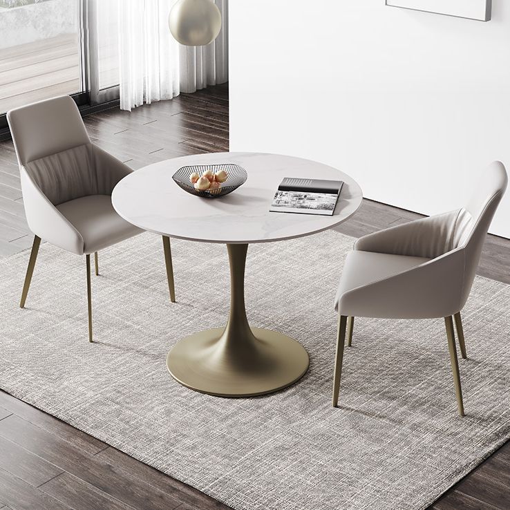 Round Tulip Base Dining Site Table Traditional Luxury Dinette Table for Home Clearhalo ' dining_table' 'Dining Tables & Seating' 'Dining Tables' 'furn' 'furn_dining_table' 'Furniture' 'furniture_dining_table' 'Kitchen & Dining Furniture' 'kitchen&dining_furn' 'kitchen' 'kitchen_dining_table' 1200x1200_cc231750-fe9d-4146-a479-5e8ca2d30a68