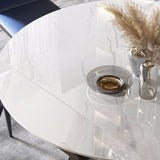 Modern Style Sintered Stone Dining Room Table Round Home Table with Metal Base Clearhalo ' dining_table' 'Dining Tables & Seating' 'Dining Tables' 'Furniture' 'furniture_dining_table' 'Kitchen & Dining Furniture' 'kitchen&dining_furn' 'kitchen' 'kitchen_dining_table' 1200x1200_cc2e9c37-b0d1-4204-88b2-5fddcf413db1