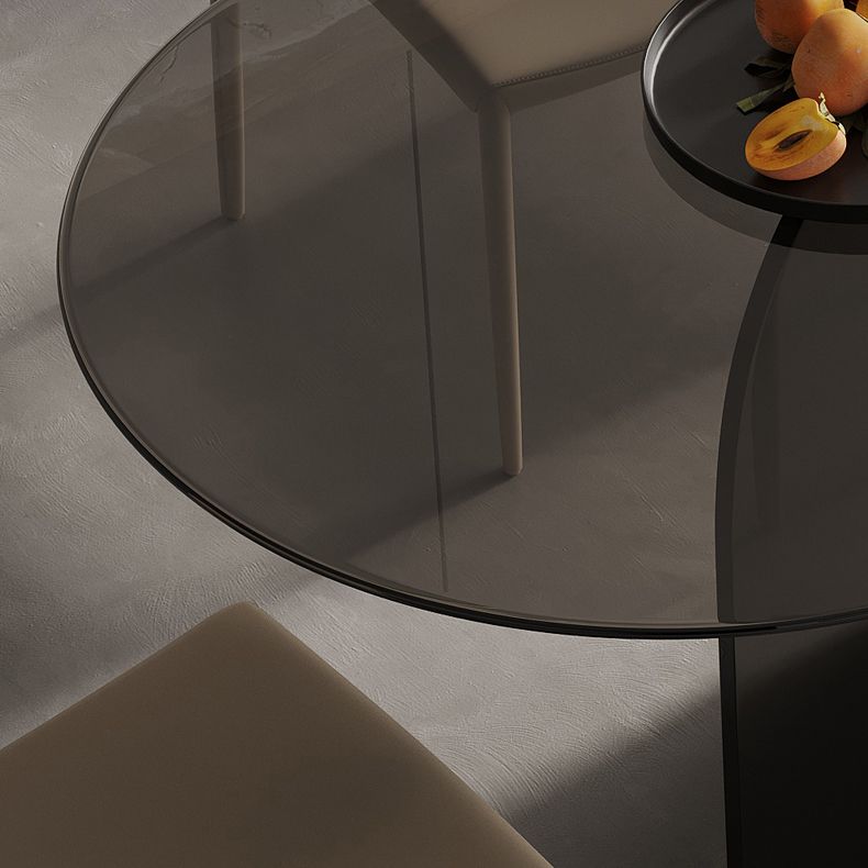 Modern Transparent Gray Glass Desktop Ellipse Dining Table for Dining Room Clearhalo 'Dining Tables & Seating' 'Dining Tables' 'dining_table' 'furn' 'furn_dining_table' 'Furniture' 'Kitchen & Dining Furniture' 1200x1200_cc4b3d9b-8e0b-46bc-bd46-5f6a2f1f3a8d