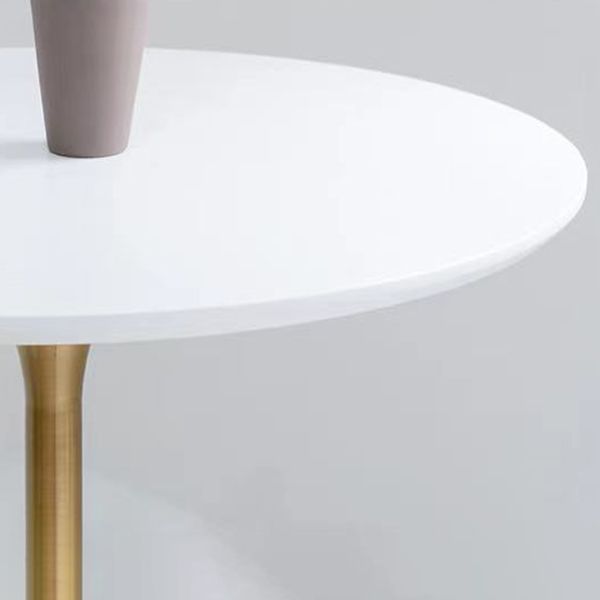 Metal Contemporary Round Dining Table Solid Wood Top Table for Dining Room Clearhalo ' dining_table' 'Dining Tables & Seating' 'Dining Tables' 'furn' 'furn_dining_table' 'Furniture' 'furniture_dining_table' 'Kitchen & Dining Furniture' 'kitchen&dining_furn' 'kitchen' 'kitchen_dining_table' 1200x1200_cd174214-790f-460a-8796-968cae94588f