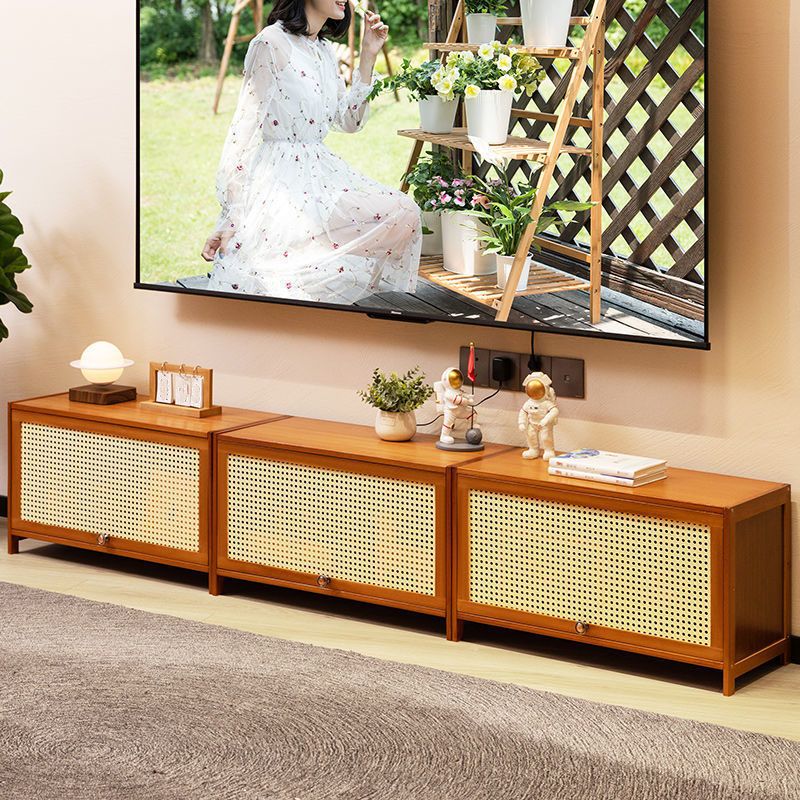Enclosed Storage TV Console Scandinavian TV Media Console for Living Room Clearhalo 'furn' 'furn_tv_stands_entertainment_centers' 'Furniture' 'Living Room Furniture' 'TV Stands & Entertainment Centers' 'TV Stands & Media Storage Furniture' 'tv_stands_entertainment_centers' 1200x1200_cd370b57-d8c8-46b8-b389-8fd1ead3f880