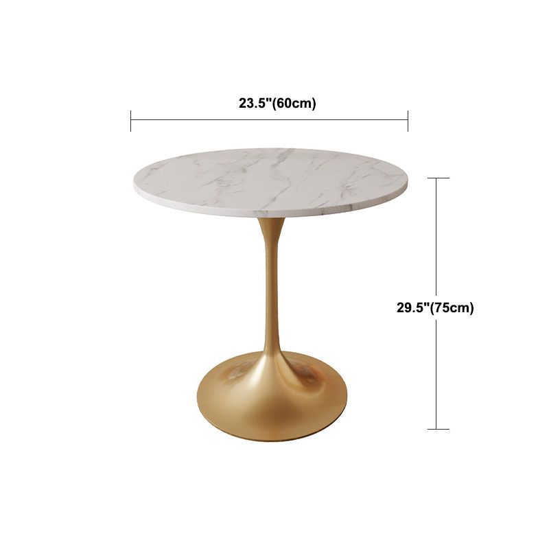 Modern Style Dining Table Sintered Stone Round Table for Dining Room Clearhalo 'Dining Tables & Seating' 'Dining Tables' 'dining_table' 'furn' 'furn_dining_table' 'Furniture' 'Kitchen & Dining Furniture' 1200x1200_ce4f987e-fa11-4ee3-8910-371f8dcedb00