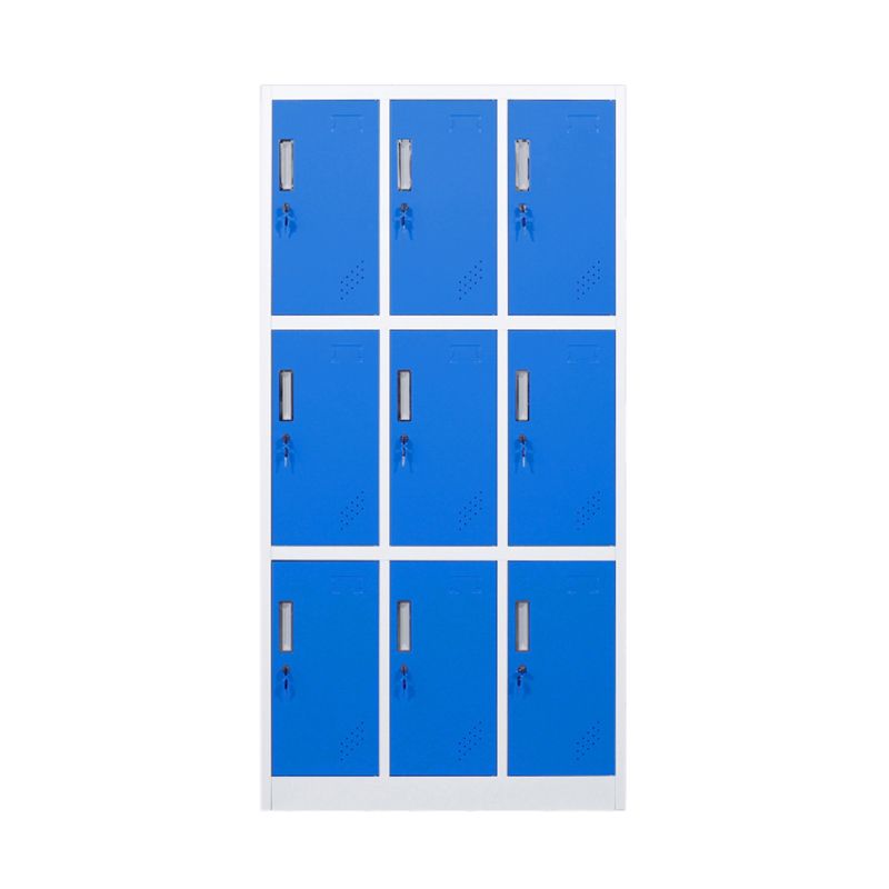 Metalen eigentijdse kast voor home matte afwerking opbergkast