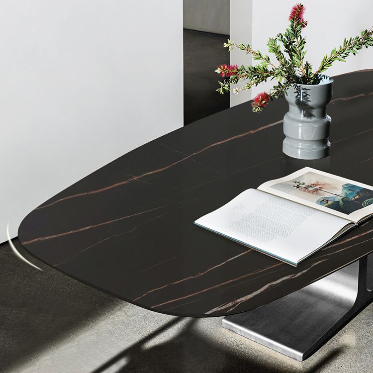 Oval Contemporary Dining Table Black Sintered Stone Table with Pedestal Base Clearhalo ' dining_table' 'Dining Tables & Seating' 'Dining Tables' 'furn' 'furn_dining_table' 'Furniture' 'furniture_dining_table' 'Kitchen & Dining Furniture' 'kitchen&dining_furn' 'kitchen' 'kitchen_dining_table' 1200x1200_ce871977-b05b-41fc-ba2c-4d76a7b9bc71
