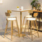 Nordic Style Backrest Counter Stool Iron Cafe Bar Stool with Cushion and Pedal Clearhalo 'Bar Furniture' 'Bar Stools' 'bar_stools' 'furn' 'furn_bar_stools' 'Furniture' 'furniture_bar_stools' 'Kitchen & Dining Furniture' 1200x1200_cebdc83b-777c-4775-9811-825889a7d9ce