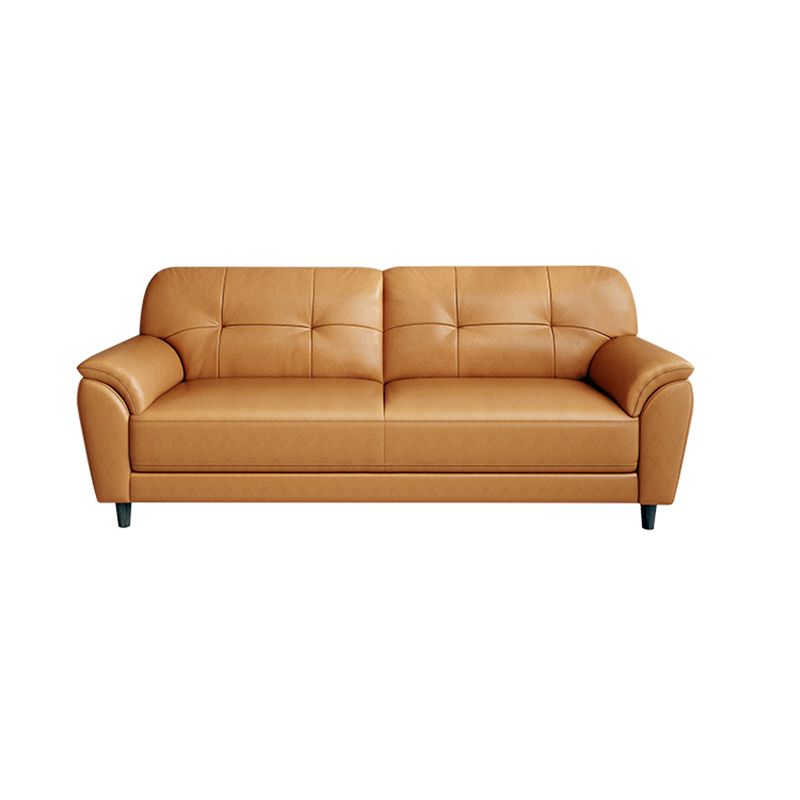 Stain Resistant Contemporary Pillow Top Arm Standard Settee Couch Clearhalo 'furn' 'furn_sofas' 'Furniture' 'Living Room Furniture' 'Sofa' 'sofas' 1200x1200_cedf1dcd-4e8a-4cc9-8d9b-93b948f73795