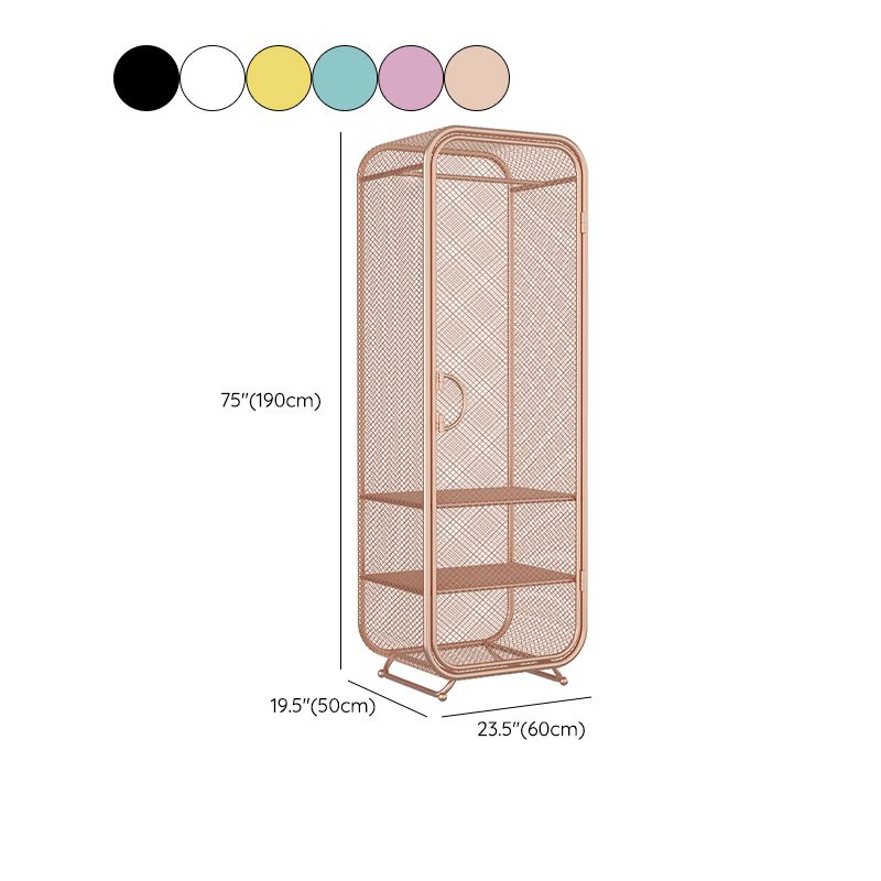 Armoire de rangement en acier en acier moderne à 2 portes avec 2 étagères et rails de vêtements