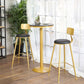 Glam 1/2/3/4/5 Pieces Round Bar Table Set Fixed Table Counter Set for Dining Room Clearhalo 'Bar Furniture' 'furn' 'furn_home_bar_bar_sets' 'Furniture' 'Home Bars & Bar Sets' 'home_bar_bar_sets' 'Kitchen & Dining Furniture' 1200x1200_cf6937b4-7a98-4f2f-bca9-7d178cfe4cc3
