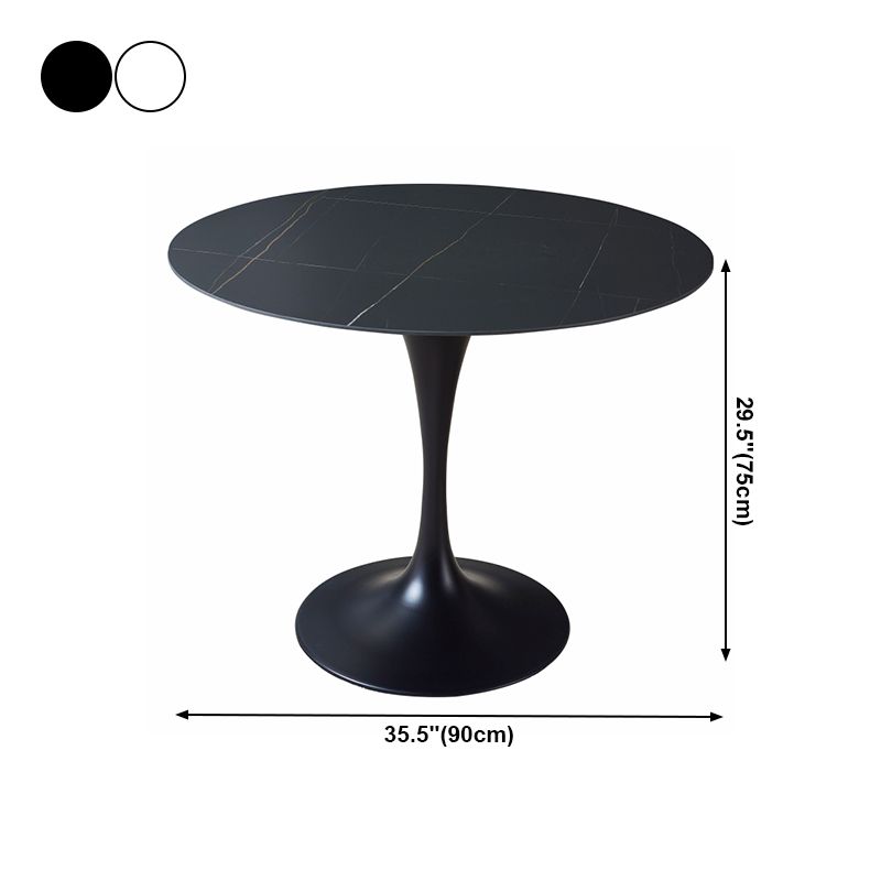 Modern Style Round Dining Table Sintered Stone Table with Tulip Base for Home Use Clearhalo ' dining_table' 'Dining Tables & Seating' 'Dining Tables' 'furn' 'furn_dining_table' 'Furniture' 'furniture_dining_table' 'Kitchen & Dining Furniture' 'kitchen&dining_furn' 'kitchen' 'kitchen_dining_table' 1200x1200_cf6da8cc-9e09-490a-8d98-ffb0082f9e0c