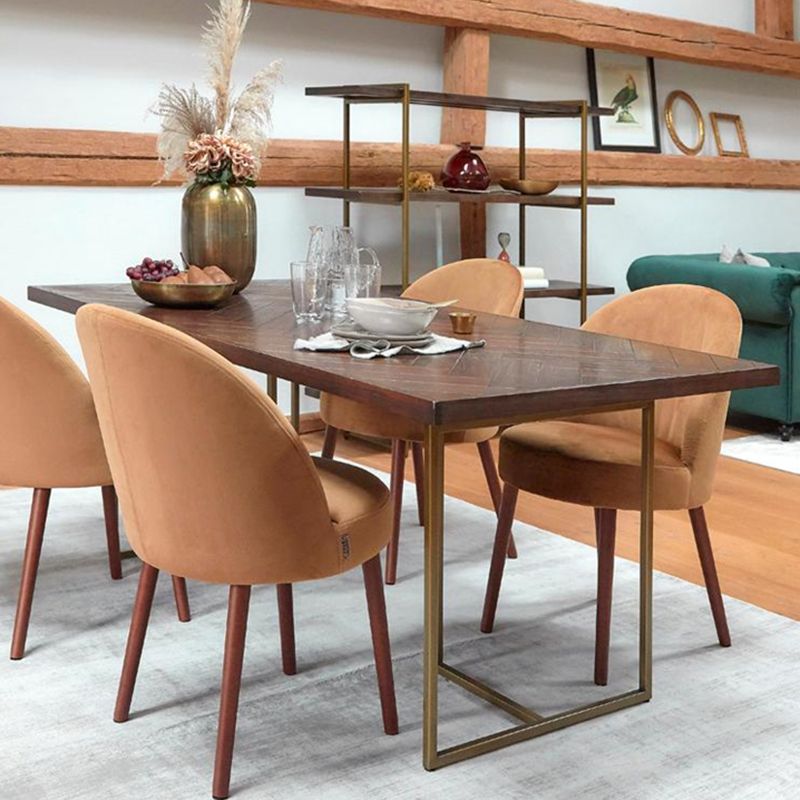 Contemporary Solid Wood Standard Dining Table Rectangle Kitchen Dining Table with Double Pedestal Clearhalo ' dining_table' 'Dining Tables & Seating' 'Dining Tables' 'furn' 'furn_dining_table' 'Furniture' 'furniture_dining_table' 'Kitchen & Dining Furniture' 'kitchen&dining_furn' 'kitchen' 'kitchen_dining_table' 1200x1200_d02718cd-da36-4aa8-b30e-3ba32dde9463