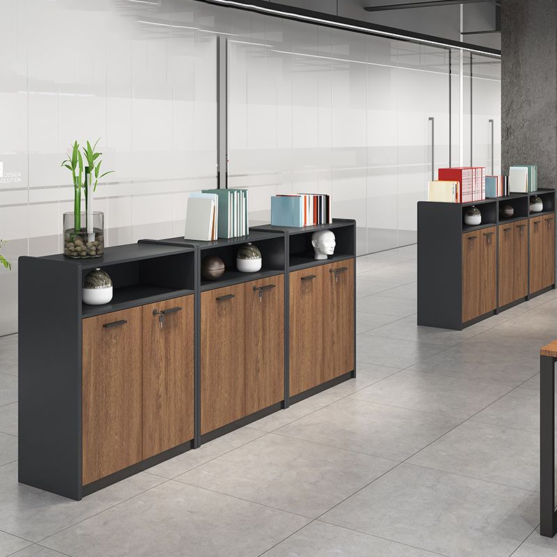Contemporary File Cabinet Wooden Frame Key Lock File Cabinet for Office