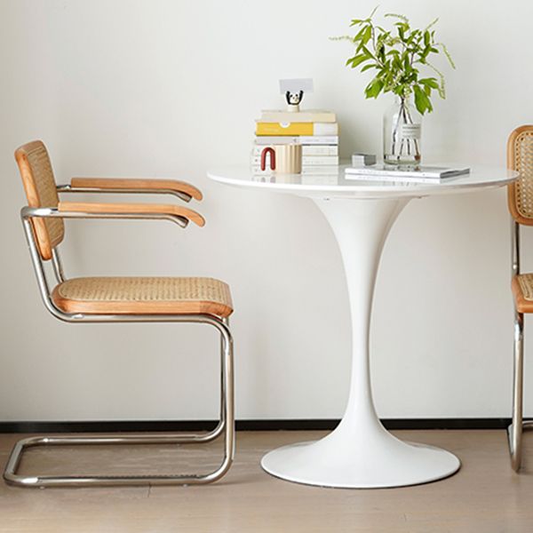 White Modern Round Stone Tabletop Dining Table with Tulip Base Clearhalo 'Dining Tables & Seating' 'Dining Tables' 'dining_table' 'furn' 'furn_dining_table' 'Furniture' 'Kitchen & Dining Furniture' 1200x1200_d057eaf5-e2b7-4a62-b8e8-efb3e886999d