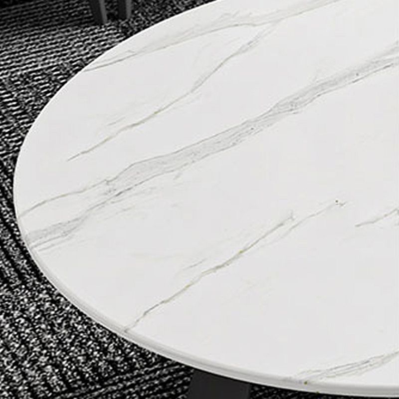 Modern Fixed Top Coffee Table Round Steel Abstract Cocktail Table Clearhalo 'Coffee & Accent Tables' 'Coffee Tables' 'coffee_tables' 'furn' 'furn_coffee_tables' 'Furniture' 'furniture_coffee_tables' 'Living Room Furniture' 1200x1200_d07f47da-ad8a-42c8-b1c3-e193af0d8a45