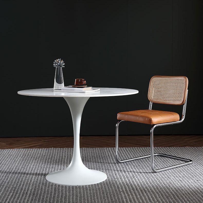 Stone Top Dining Table Modern Round Dining Table with Pedestal Base Clearhalo 'Dining Tables & Seating' 'Dining Tables' 'dining_table' 'furn' 'furn_dining_table' 'Furniture' 'furniture_dining_table' 'Kitchen & Dining Furniture' 'kitchen' 'kitchen_dining_table' 1200x1200_d08546d6-1916-4b4d-be3f-2eecbaba4e6e