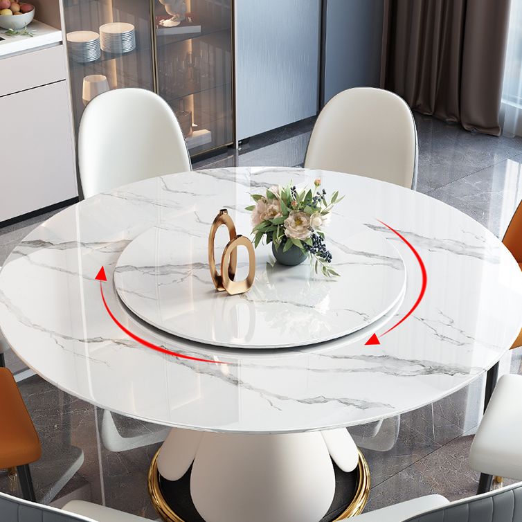 Traditional Luxury Round Dining Table Pedestal Dining Room Collection with Turntable Clearhalo ' dining_table' 'Dining Tables & Seating' 'Dining Tables' 'furn' 'furn_dining_table' 'Furniture' 'furniture_dining_table' 'Kitchen & Dining Furniture' 'kitchen&dining_furn' 'kitchen' 'kitchen_dining_table' 1200x1200_d09c08f6-076e-4b21-9284-3e0d8b1b85fa