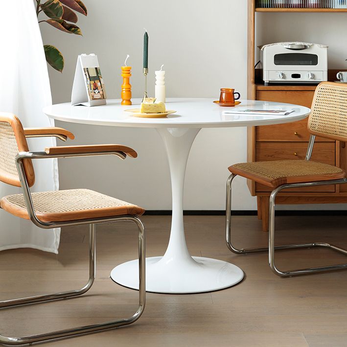 White Modern Round Stone Tabletop Dining Table with Tulip Base Clearhalo 'Dining Tables & Seating' 'Dining Tables' 'dining_table' 'furn' 'furn_dining_table' 'Furniture' 'Kitchen & Dining Furniture' 1200x1200_d0bd1d67-7c34-42ee-9d79-fc5e0e000755