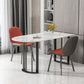 Simplicity Style Sintered Stone Dining Table Freeform Shape Table with Double Pedestal Base Clearhalo ' dining_table' 'Dining Tables & Seating' 'Dining Tables' 'furn' 'furn_dining_table' 'Furniture' 'furniture_dining_table' 'Kitchen & Dining Furniture' 'kitchen&dining_furn' 'kitchen' 'kitchen_dining_table' 1200x1200_d119a376-a341-4969-a16f-19241402245c
