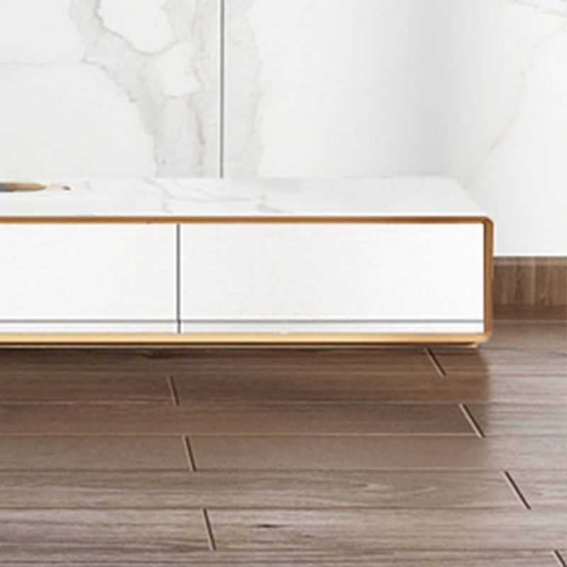 Nordic Simple TV Cabinet Modern Luxury Floor TV Cabinet for Living Room Clearhalo 'furn' 'furn_tv_stands_entertainment_centers' 'Furniture' 'Living Room Furniture' 'TV Stands & Entertainment Centers' 'TV Stands & Media Storage Furniture' 'tv_stands_entertainment_centers' 1200x1200_d1975c34-ef21-485f-bdef-7b591f50e8a4