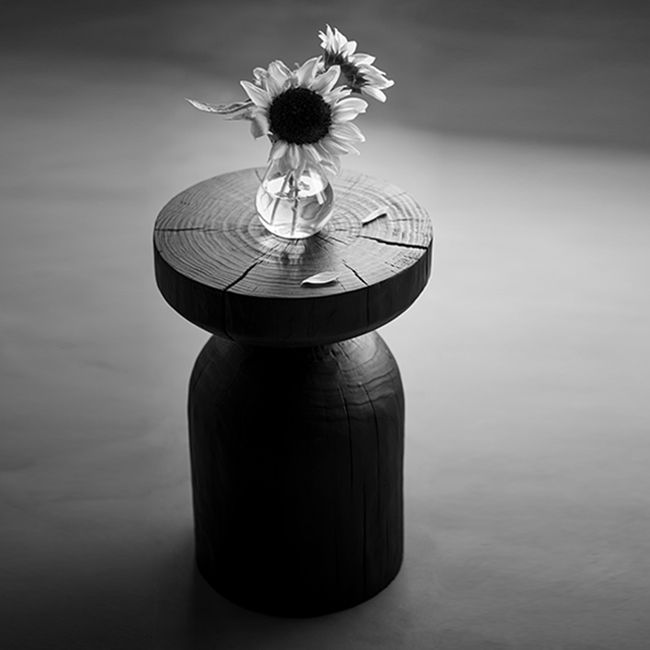 コンテンポラリースタイルのサイドエンドテーブル木製の台座ソファサイドアクセントテーブル