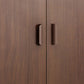 Modern Modern Side Cabinet Brown Accent Cabinet met deuren met deuren