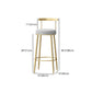 Modern Style Iron Bar Stool with Footrest Low Back Milk Tea Shop Simple Bar Stool Clearhalo 'Bar Furniture' 'Bar Stools' 'bar_stools' 'furn' 'furn_bar_stools' 'furniture_bar_stools' 'Kitchen & Dining Furniture' 'kitchen&dining_furn' 'kitchen' 'kitchen_furn' Furniture' 1200x1200_d2194756-6474-4515-a3f3-35838ac482cf