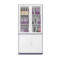 Contemporary File Cabinet Steel Frame Fire-Resistant File Cabinet