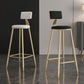 Nordic Armless Backrest Counter Stool Steel Cafe Bar Stool with Velvet Cushion and Pedal Clearhalo 'Bar Furniture' 'Bar Stools' 'bar_stools' 'furn' 'furn_bar_stools' 'Furniture' 'furniture_bar_stools' 'Kitchen & Dining Furniture' 1200x1200_d25a44fb-1293-476f-bce1-557cf578b247