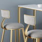 Round Scandinavian Low Back Counter & Bar Stool Metal Counter Chair with Cushion Clearhalo 'Bar Furniture' 'Bar Stools' 'bar_stools' 'furn' 'furn_bar_stools' 'Furniture' 'furniture_bar_stools' 'Kitchen & Dining Furniture' 1200x1200_d27e585a-3d9b-4b27-b0d1-832600991635