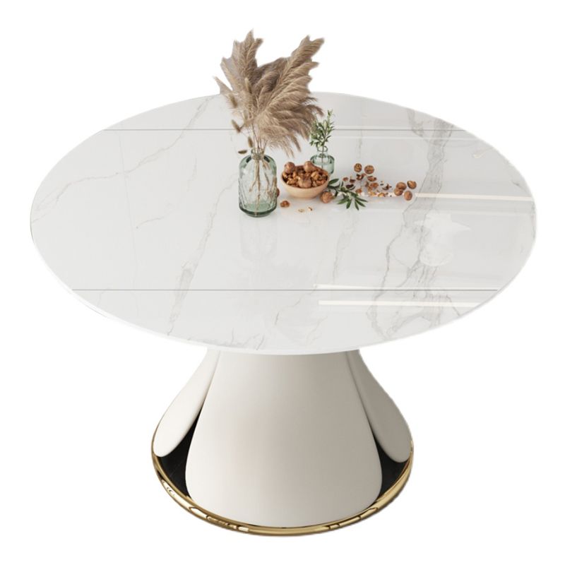 53'' Luxury Sintered Stone Dining Table Extendable Rectangle Table with Metal Pedestal Clearhalo ' dining_table' 'Dining Tables & Seating' 'Dining Tables' 'furn' 'furn_dining_table' 'Furniture' 'furniture_dining_table' 'Kitchen & Dining Furniture' 'kitchen&dining_furn' 'kitchen' 'kitchen_dining_table' 1200x1200_d2d07f2a-25e6-4eb6-b4be-d8529d32becd