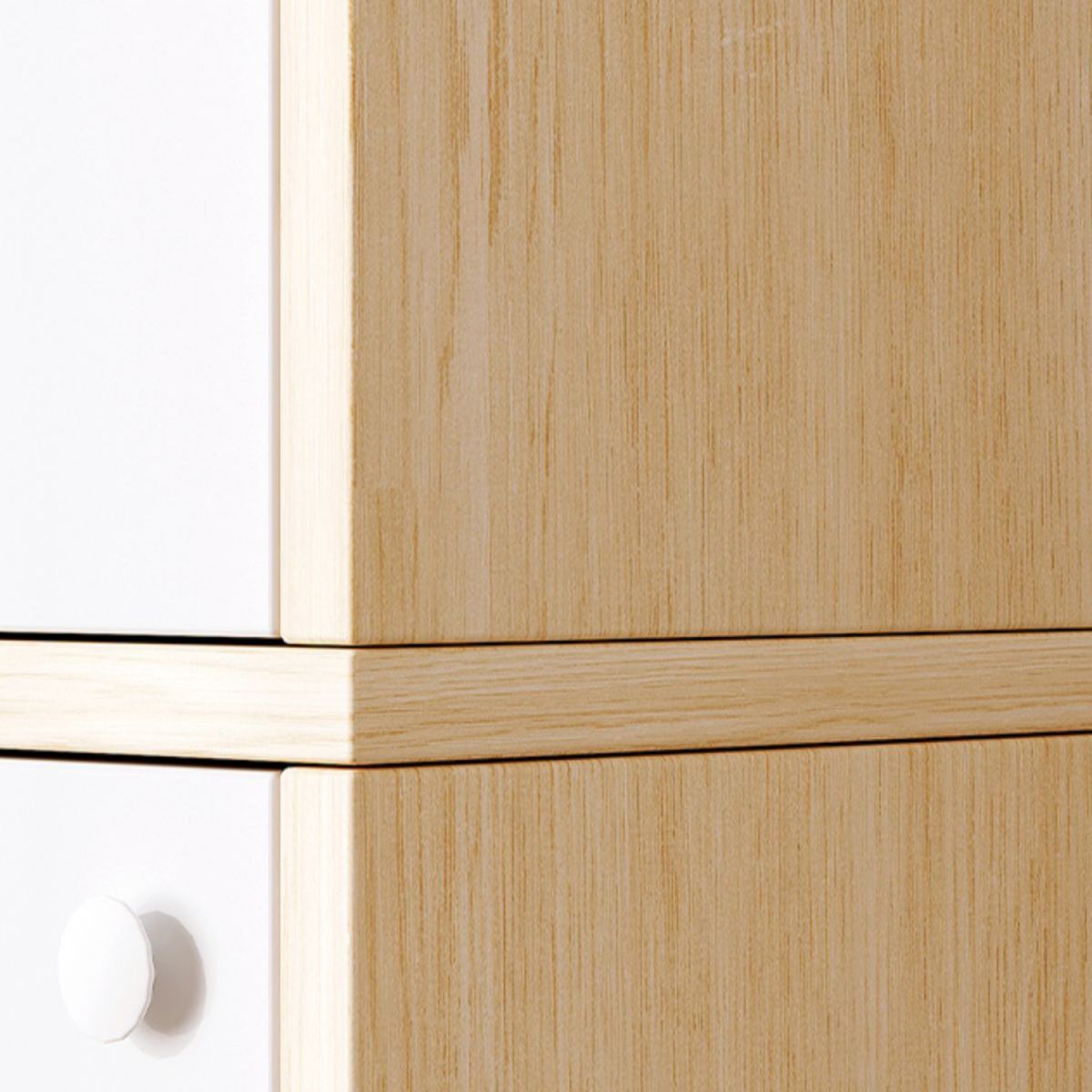 Contemporary Accent Cabinet with Doors Scratch Resistant Storage Cabinet Clearhalo 'Cabinets & Chests' 'cabinets_chests' 'furn' 'furn_cabinets_chests' 'Furniture' 'Living Room Furniture' 1200x1200_d2d0f4c9-cd7f-43df-a008-3eff87936d40