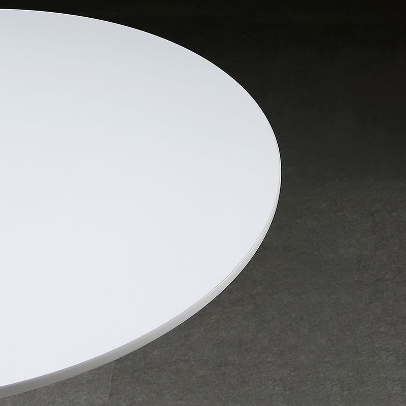 Metal Contemporary Round Dining Table Wood Top Table with Tulip Clearhalo ' dining_table' 'Dining Tables & Seating' 'Dining Tables' 'furn' 'furn_dining_table' 'Furniture' 'furniture_dining_table' 'Kitchen & Dining Furniture' 'kitchen&dining_furn' 'kitchen' 'kitchen_dining_table' 1200x1200_d335fb74-37e6-4026-b1d2-9b27444174cc