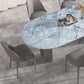 Metal Oval Traditional Luxury Dining Table Sintered Stone Table with Double Pedestal Clearhalo ' dining_table' 'Dining Tables & Seating' 'Dining Tables' 'furn' 'furn_dining_table' 'Furniture' 'furniture_dining_table' 'Kitchen & Dining Furniture' 'kitchen&dining_furn' 'kitchen' 'kitchen_dining_table' 1200x1200_d33f2319-2495-4976-bc77-fc6c6bfd6ace