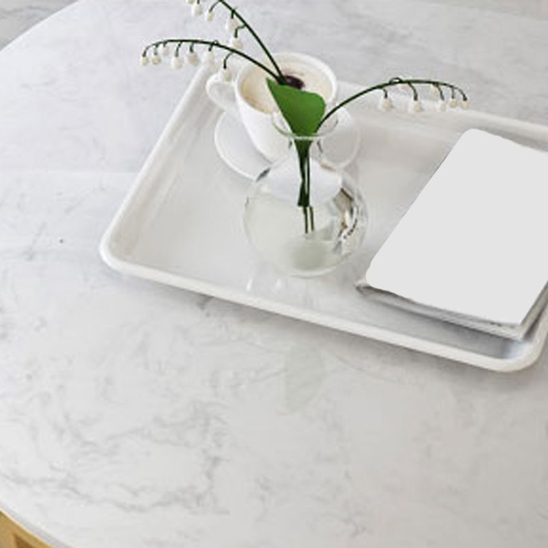 Frame Glam Simple Coffee Table Marble Round Cocktail Table Set Clearhalo 'Coffee & Accent Tables' 'Coffee Tables' 'coffee_tables' 'furn' 'furn_coffee_tables' 'Furniture' 'Living Room Furniture' 1200x1200_d37fbf36-d093-4f28-a4e0-7b7ad960e517