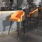 Tabouret de comptoir de dossier d'accoudoir moderne tabouret de Bar de café en fer avec coussin et pédale