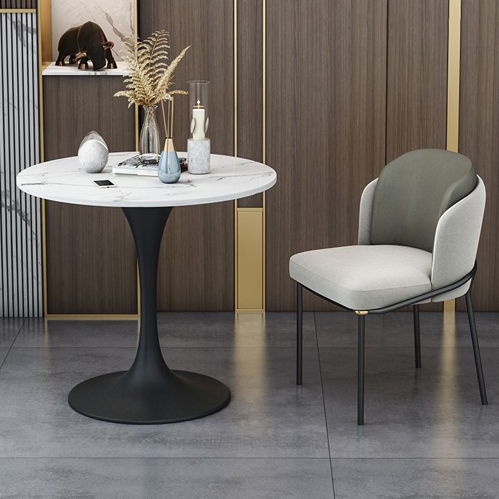 Modern 1/2/5 Pieces Sintered Stone Dining Set Dining Furniture Set /Separate Items Clearhalo 'Dining Room Sets' 'Dining Tables & Seating' 'dining_room_set' 'furn' 'furn_dining_room_set' 'Furniture' 'furniture_dining_room_set' 'Kitchen & Dining Furniture' 'kitchen&dining_furn' 'kitchen' 1200x1200_d42f1269-9473-4b33-8006-1198d4e667ff
