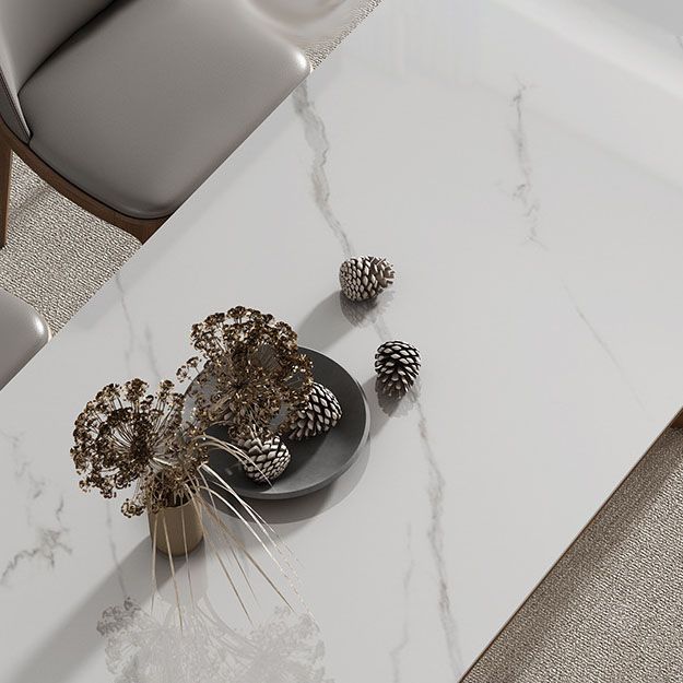 Modern 1/2/3/4/7 Pieces Dining Set Sintered Stone Dining Table Set for Home Clearhalo 'Dining Room Sets' 'Dining Tables & Seating' 'dining_room_set' 'furn' 'furn_dining_room_set' 'Furniture' 'furniture_dining_room_set' 'Kitchen & Dining Furniture' 1200x1200_d4381337-9fd0-4b7d-b9b8-70667bce6f6a