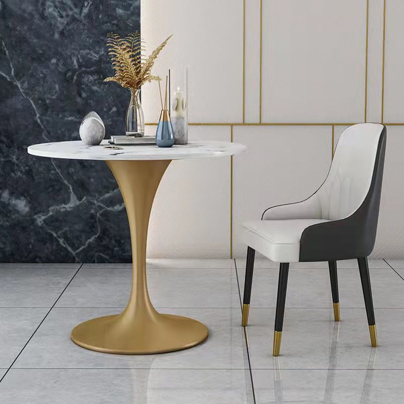 Metal Traditional Luxury Round Dining Table Sintered Stone Table with Tulip Base Clearhalo 'Dining Tables & Seating' 'Dining Tables' 'dining_table' 'furn' 'furn_dining_table' 'Furniture' 'Kitchen & Dining Furniture' 1200x1200_d489fa4d-4fc1-45ef-98ca-aff9661d381e